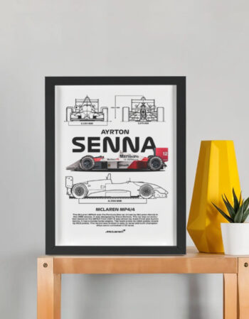 Framed Poster