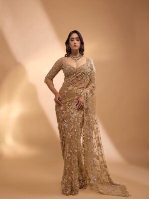 Net Saree with Sequins Embroidery