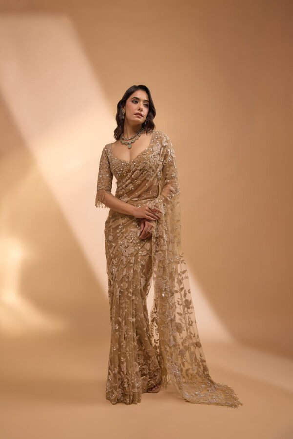 Net Saree with Sequins Embroidery
