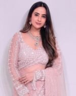 Women’s Pink Soft Net Saree with Sequins Embroidery